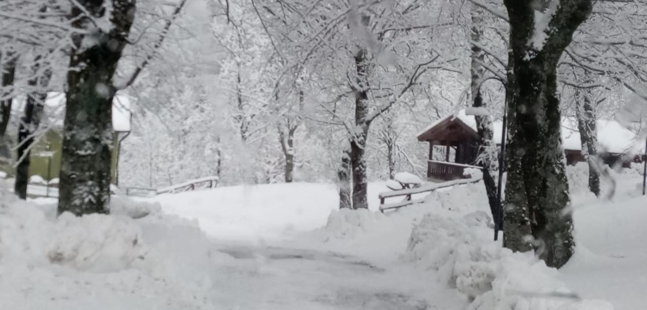 Villaggio Anemone - Chalet Mirtillo Capanne di Sillano Dış mekan fotoğraf