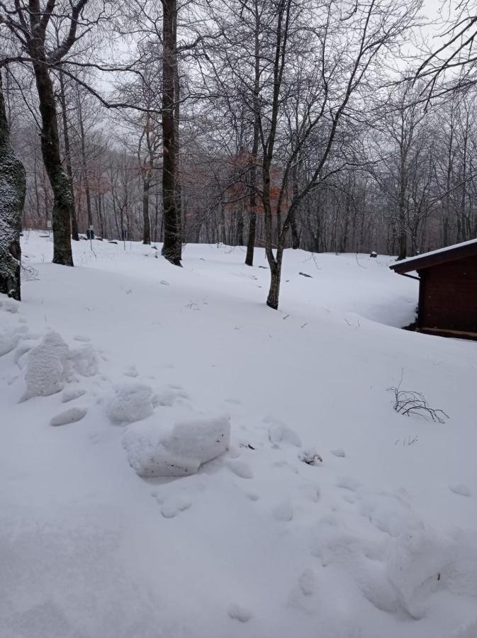 Villaggio Anemone - Chalet Mirtillo Capanne di Sillano Dış mekan fotoğraf
